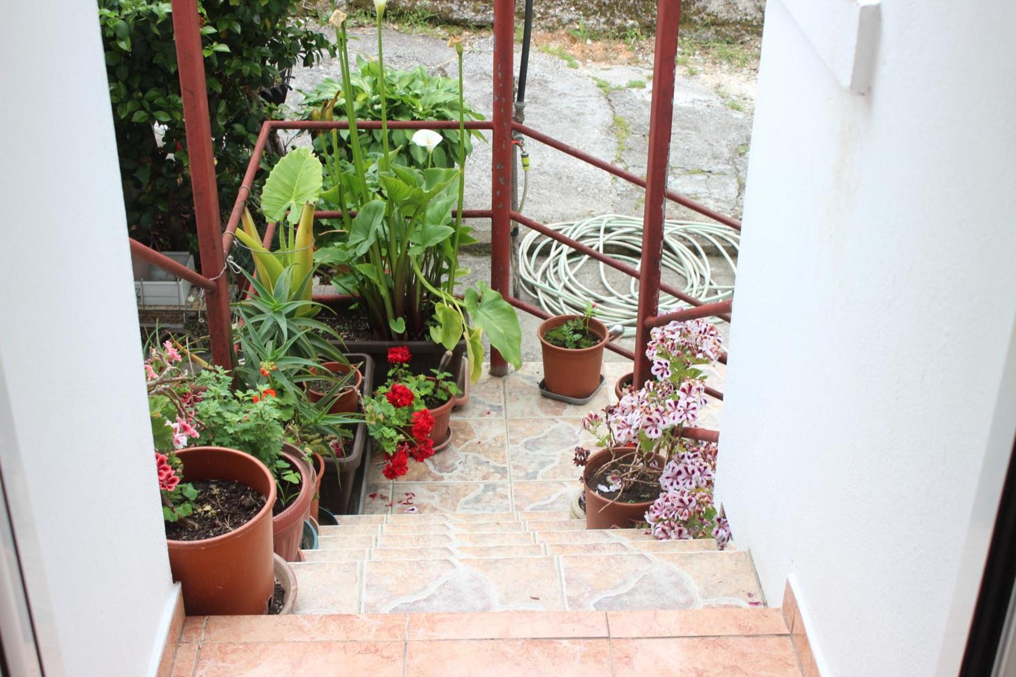 Bozovic I Homestay